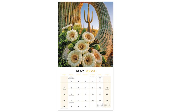 National Parks 2023 Monthly Wall Calendar, 12" x 12" | Wall Calendars | Mead
