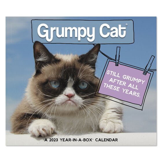 Grumpy Cat 2023 Year-In-A-Box Calendar | Wall Calendars | Mead