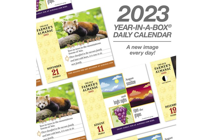 the-old-farmer-s-almanac-2023-year-in-a-box-calendar-wall-calendars