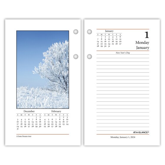 ATAGLANCE 2024 Daily Photographic LooseLeaf Desk Calendar Refill