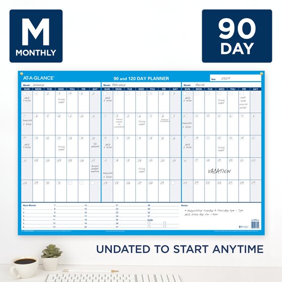 AT A GLANCE Undated 90 120 Day - 495107 