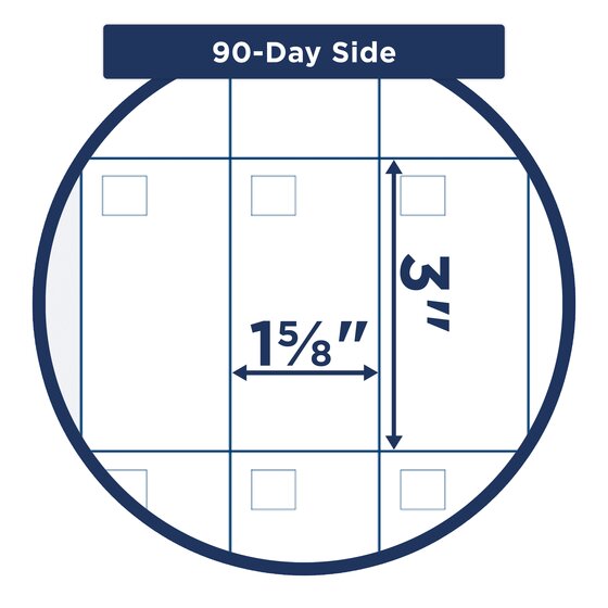 AT A GLANCE Undated 90 120 Day - 495111 