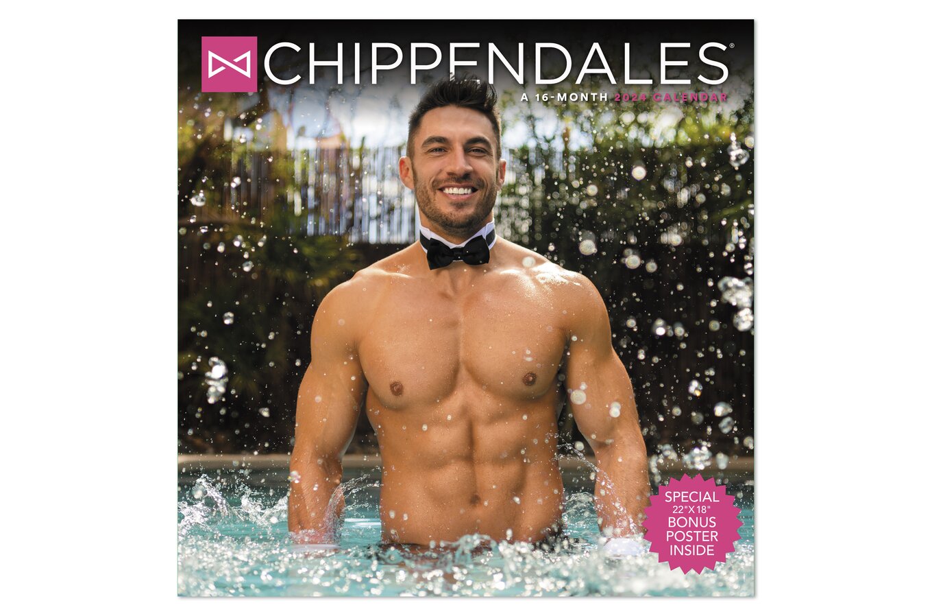 Chippendale Calendar 2024 Bekki Carolin Chippendale Calendar 2024 Bekki Carolin