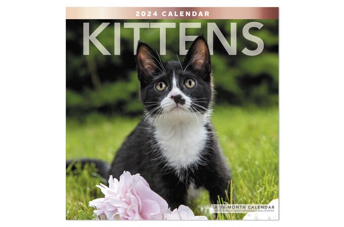 2024 Cats and Kittens Calendar