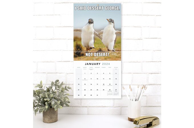 Animal Memes 2024 Monthly Wall Calendar, 12" x 12" | Wall Calendars | Mead
