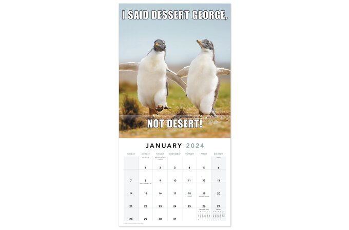 Animal Memes 2024 Monthly Wall Calendar, 12" x 12" | Wall Calendars | Mead