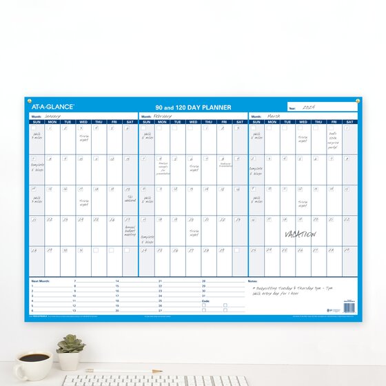 AT A GLANCE Undated 90 and 120 Day - 507596 