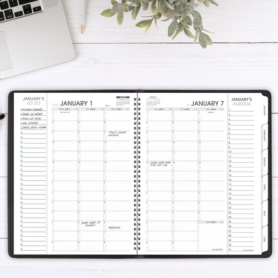 AT-A-GLANCE® Triple View 2025 Weekly Monthly Appointment Book, Black ...