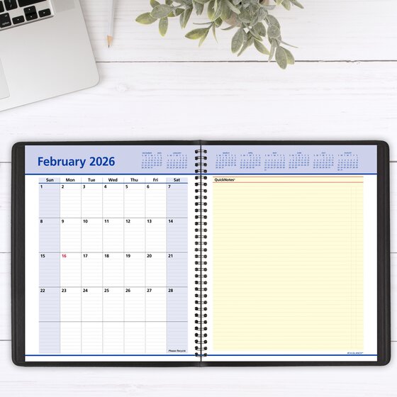 AT-A-GLANCE® QuickNotes® 2025 Weekly Monthly Appointment Book Planner ...