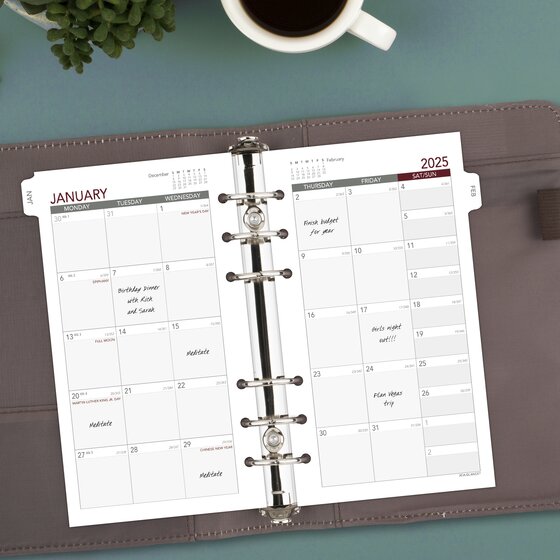 ATAGLANCE® 2025 Monthly Planner Refill, LooseLeaf, Portable Size, 3