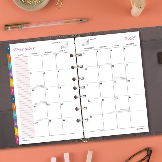 AT-A-GLANCE® EttaVee™ 2025 Daily Monthly Planner Refill, Loose-Leaf ...