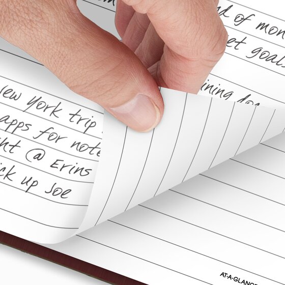 AT-A-GLANCE® Standard Diary® 2025 Daily Diary, Red, Large, 7