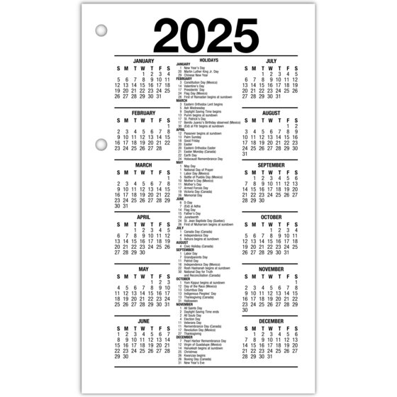 AT-A-GLANCE® 2025 Recycled Daily Loose-Leaf Desk Calendar Refill