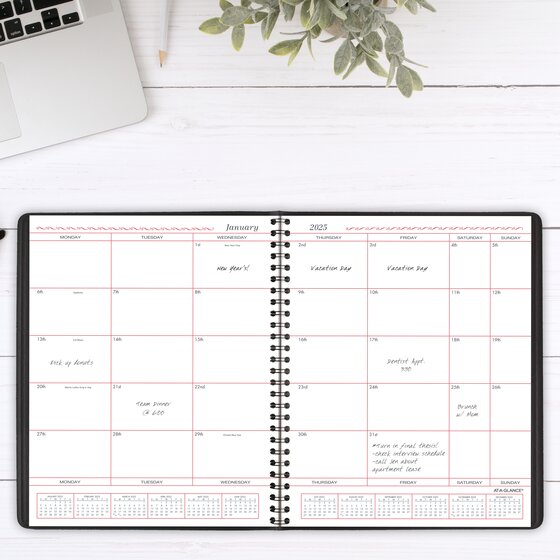 AT-A-GLANCE® 2025 Monthly Planner, Black, Large, 8" x 10" | Monthly