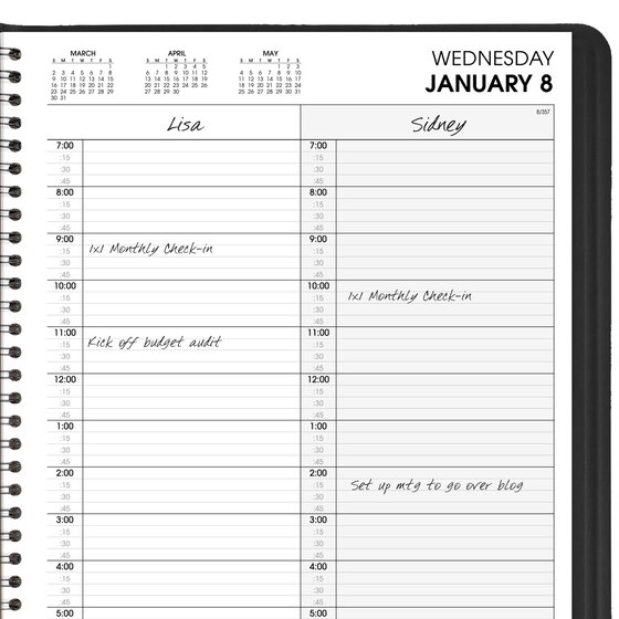 AT-A-GLANCE® 2025 Two Person Daily Appointment Book, Black, Large, 8