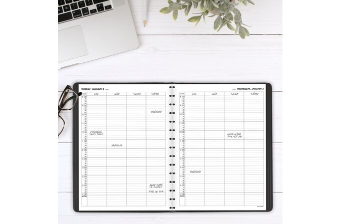 AT-A-GLANCE® 2025 Four Person Daily Appointment Book, Black, Large, 8