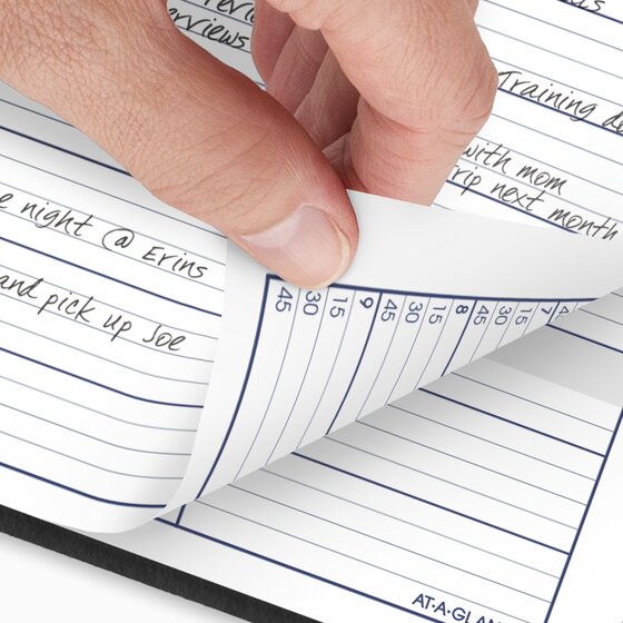 AT-A-GLANCE® DayMinder Weekly Appointment Books, 8