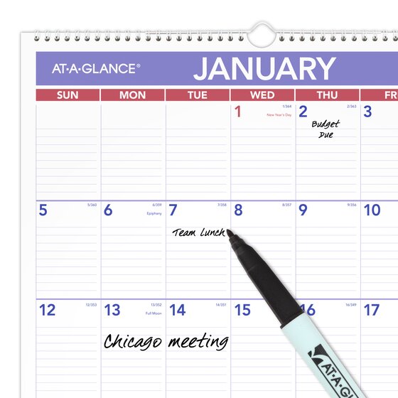 ATAGLANCE® 2025 Erasable Monthly Wall Calendar, Large, 15 1/2" x 22 3