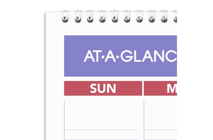 AT-A-GLANCE® 2025 Erasable Monthly Wall Calendar, Large, 15 1/2" x 22 3