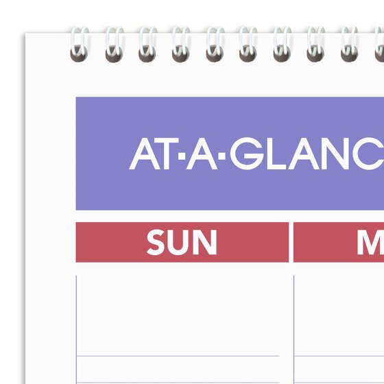 ATAGLANCE® 2025 Erasable Monthly Wall Calendar, Large, 15 1/2" x 22 3