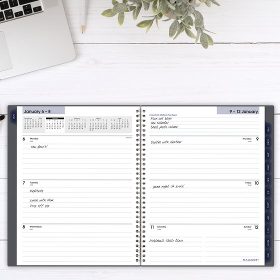 ATAGLANCE® DayMinder® 2025 Weekly Monthly Planner, Gray, Large, 8 1/2