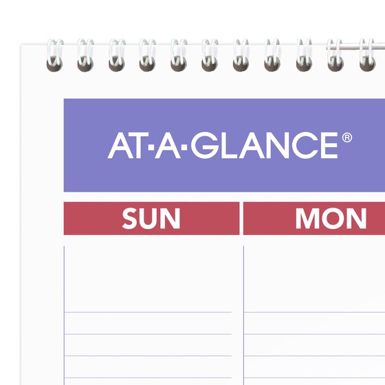 AT-A-GLANCE® 2025 Monthly Wall Calendar, Large, 15 1/2" x 22 3/4