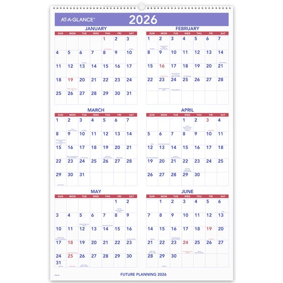 ATAGLANCE® 2025 Monthly Wall Calendar, Large, 20" x 30" Monthly