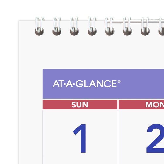 ATAGLANCE® 2025 Three Month Reference Vertical Wall Calendar, Large