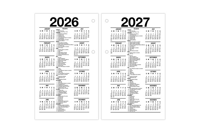 AT-A-GLANCE® 2025 Daily Loose-Leaf Desk Calendar Refill with Monthly ...