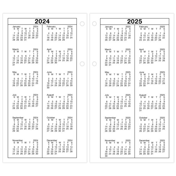 AT-A-GLANCE® 2025 Daily Loose-Leaf Desk Calendar Refill, Standard, 4 1/