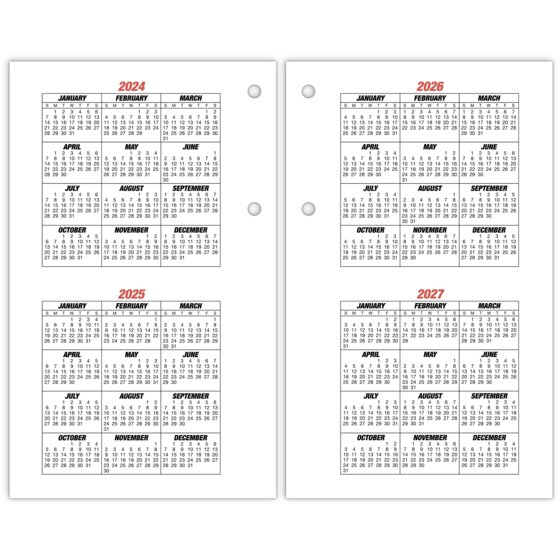 ATAGLANCE® Burkhart's Day Counter 2025 Daily LooseLeaf Desk Calendar