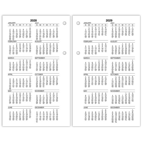 ATAGLANCE® Burkhart's Day Counter 2025 Daily LooseLeaf Desk Calendar