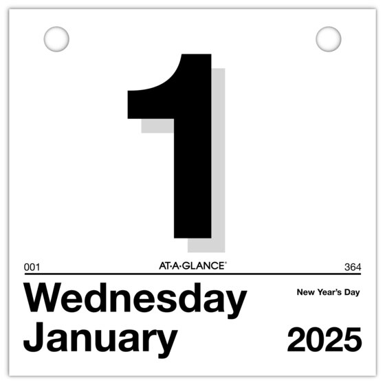 ATAGLANCE® 2025 “Today Is” Daily Wall Calendar Refill, Small, 6" x 6