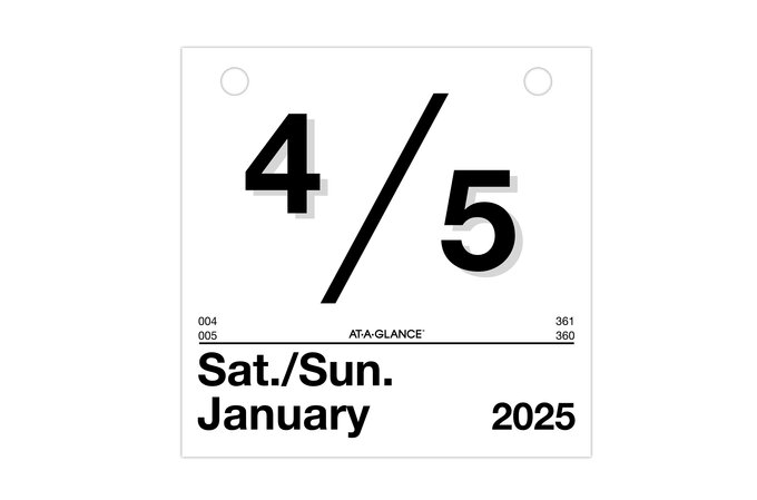 AT-A-GLANCE® 2025 “Today Is” Daily Wall Calendar Refill, Small, 6