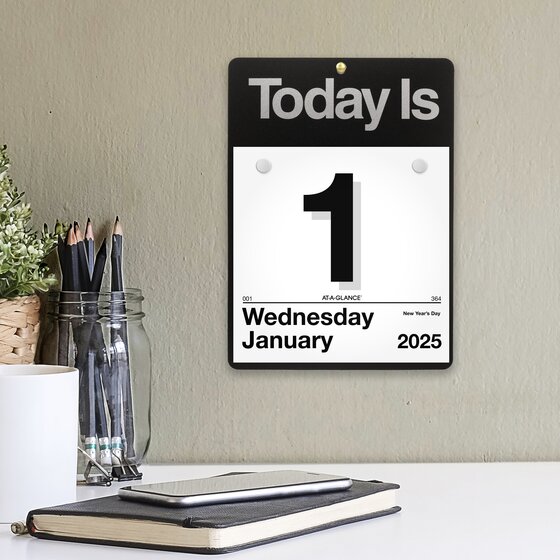 ATAGLANCE® 2025 “Today Is” Daily Wall Calendar Refill, Small, 6" x 6