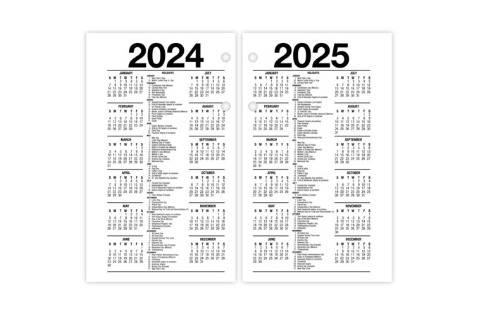 AT-A-GLANCE® 2025 Financial Daily Desk Calendar Refill, Standard, 3 1/2 ...