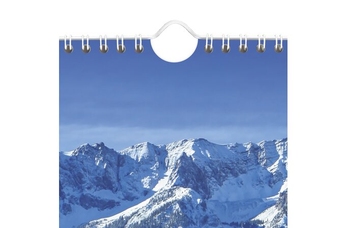 AT-A-GLANCE® 2025 Scenic Monthly Wall Calendar, Large, 15 1/2" x 22 3/4