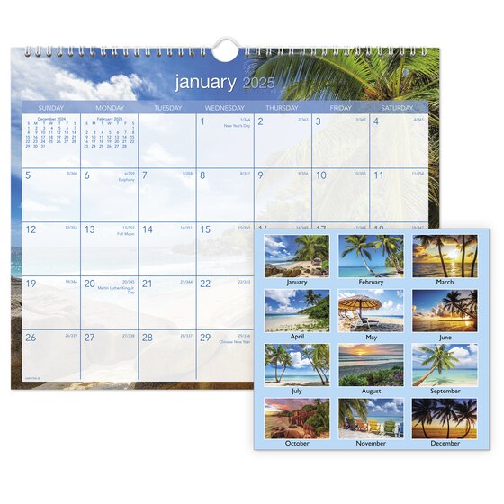 ATAGLANCE® 2025 Tropical Escape Monthly Wall Calendar, Medium, 15" x