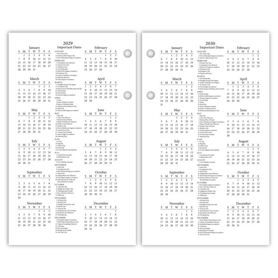 AT-A-GLANCE® 2025 Daily Photographic Loose-Leaf Desk Calendar Refill,  Standard, 3 1/2