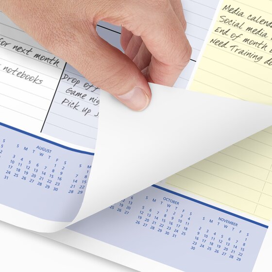 AT-A-GLANCE® QuickNotes® 2025 Monthly Desk Pad Calendar, Standard, 21 3