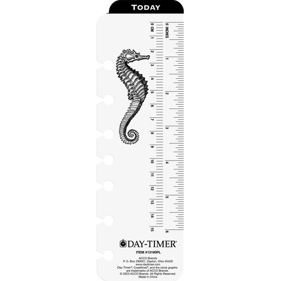 DayTimer® Coastlines® January 2025 December 2025 Two Page Per Day