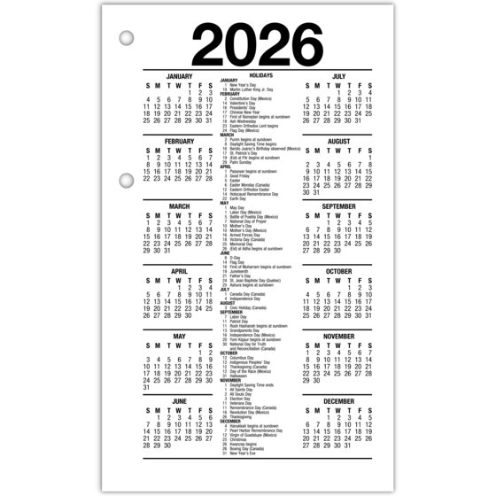 ATAGLANCE® 2026 Recycled Daily LooseLeaf Desk Calendar Refill