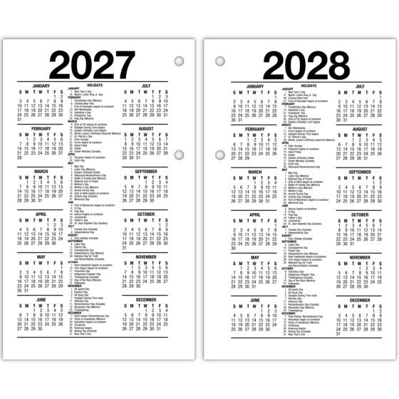 ATAGLANCE® 2026 Recycled Daily LooseLeaf Desk Calendar Refill