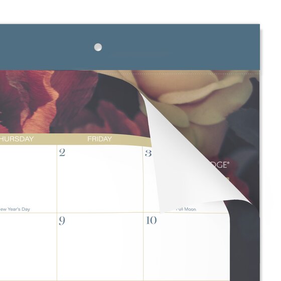 Large Product Image 6