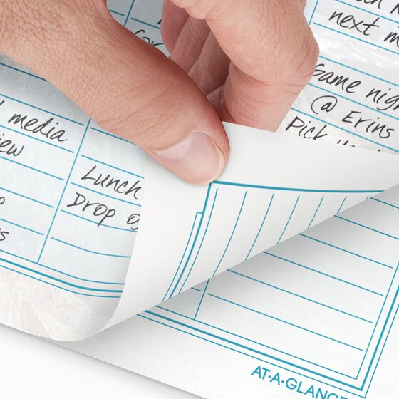 ATAGLANCE® 2026 Seascapes Daily Monthly Planner Two Page Per Day