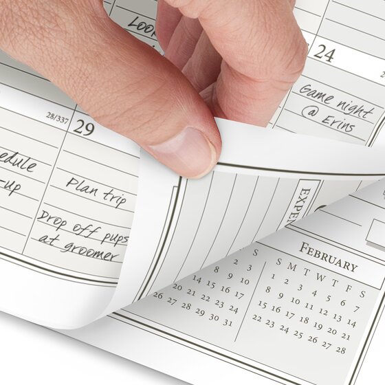 ATAGLANCE® 2026 Daily Monthly Planner One Page Per Day Refill, Loose