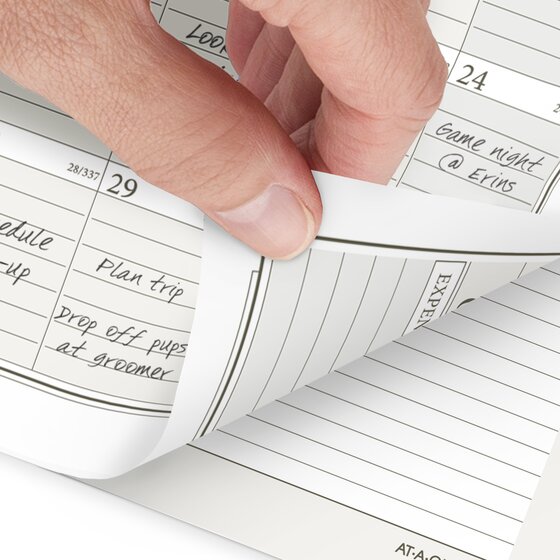 ATAGLANCE® 2026 Daily Monthly Planner Two Page Per Day Refill, Loose