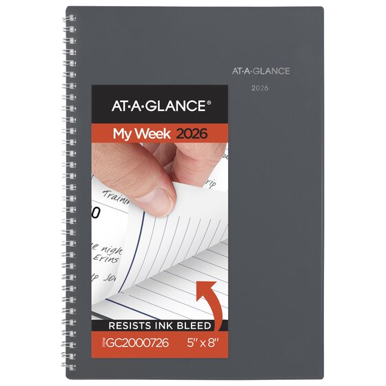 ATAGLANCE® DayMinder® 2026 Weekly Monthly Planner, Gray, Small, 5" x