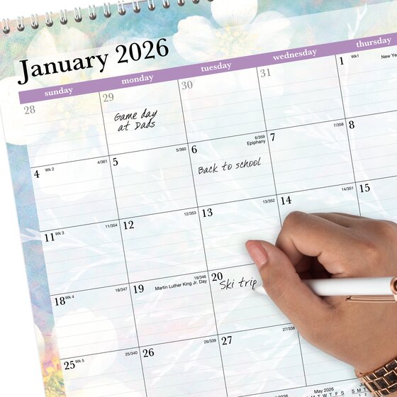 AT-A-GLANCE® Dreams 2026 Monthly Wall Calendar, Medium, 15