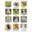 AT-A-GLANCE® 2026 Puppies Monthly Desk Pad, Standard, 21 3/4" x 17" thumbnail images 4 of 8